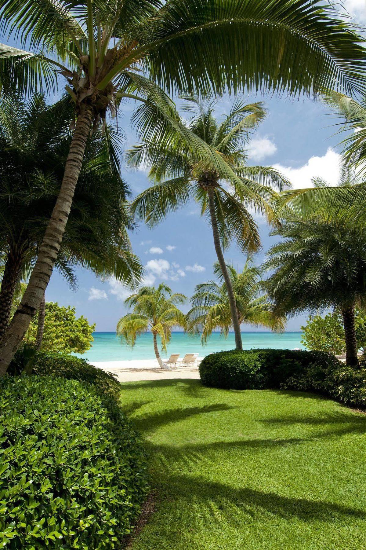 Caribbean Club Boutique Hotel, Grand Cayman Dog City المظهر الخارجي الصورة